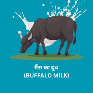 buffalo milk