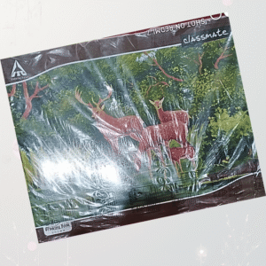 Classmate Drawing Book