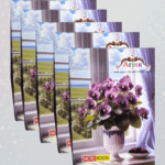 Arjun Notebook 5 Pcs (अर्जुन नोटबुक 5 पीस)- #GBS 6